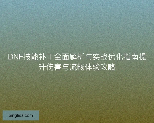 DNF技能补丁全面解析与实战优化指南提升伤害与流畅体验攻略