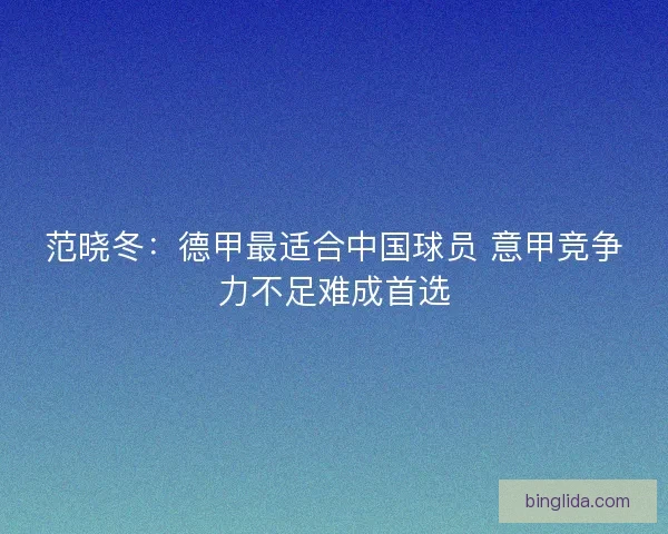 范晓冬：德甲最适合中国球员 意甲竞争力不足难成首选