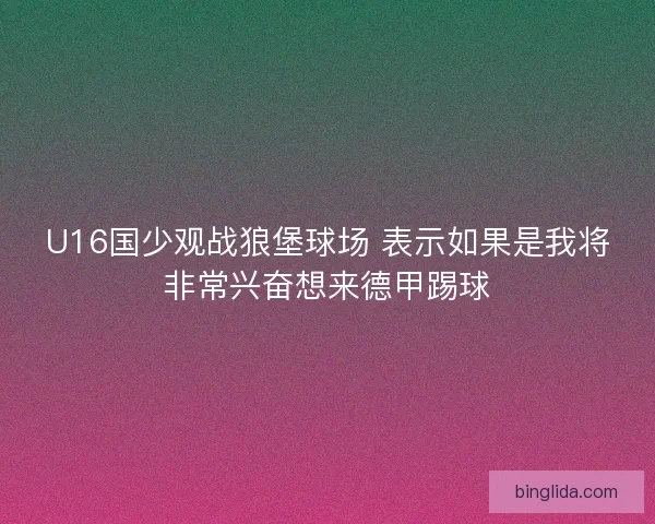 U16国少观战狼堡球场 表示如果是我将非常兴奋想来德甲踢球 U16国少观战狼堡球场 表示如果是我将非常兴奋想来德甲踢球